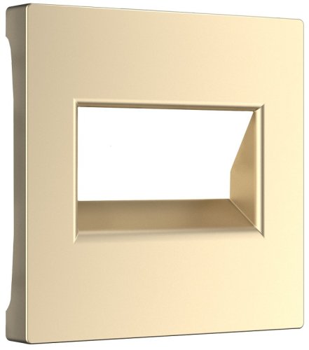 Лицевая панель Werkel для 2-м. розетки RJ45+RJ45 шампань металик фото Лицевая панель Werkel для 2-м. розетки RJ45+RJ45 шампань металик картинка